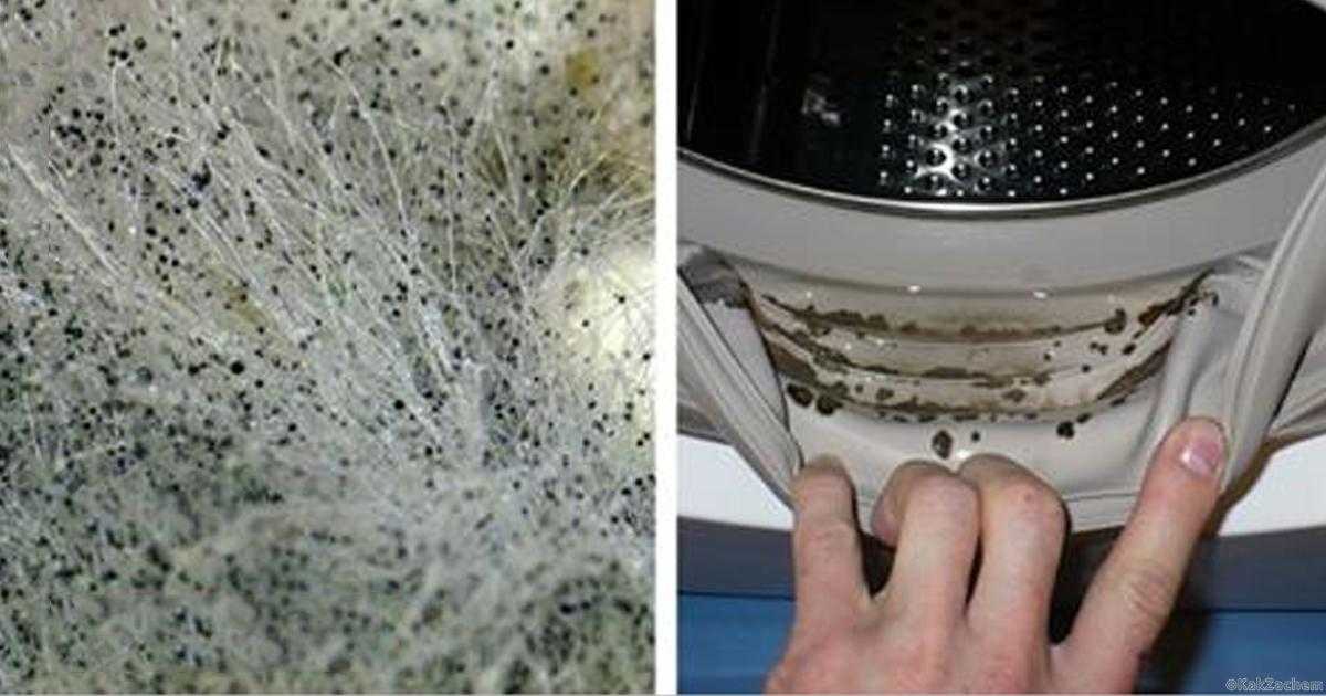 7 способов почистить стиральную машинку автомат от грязи, запаха, накипи и плесени