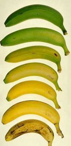 Диета: почему запрещено хранить авокадо и яблоки рядом с бананами или киви - автор врач борис аксенов - журнал женское мнение