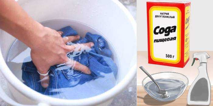 Как убрать плесень с одежды: основные способы вывести грибок в домашних условиях с помощью народных методов и химической продукции, а также как удалить запах