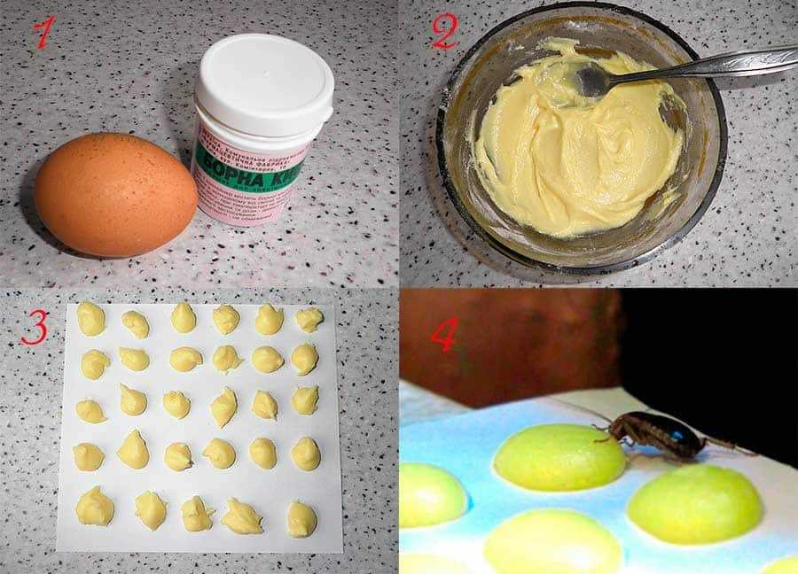 Борная кислота от тараканов: проверенные рецепты с яйцом, сахаром и сладким сиропом