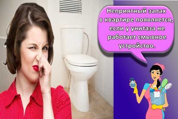 Запах канализации в туалете: почему пахнет канализацией, как устранить неприятный запах, почему воняет из унитаза, причины, как убрать запах, избавиться