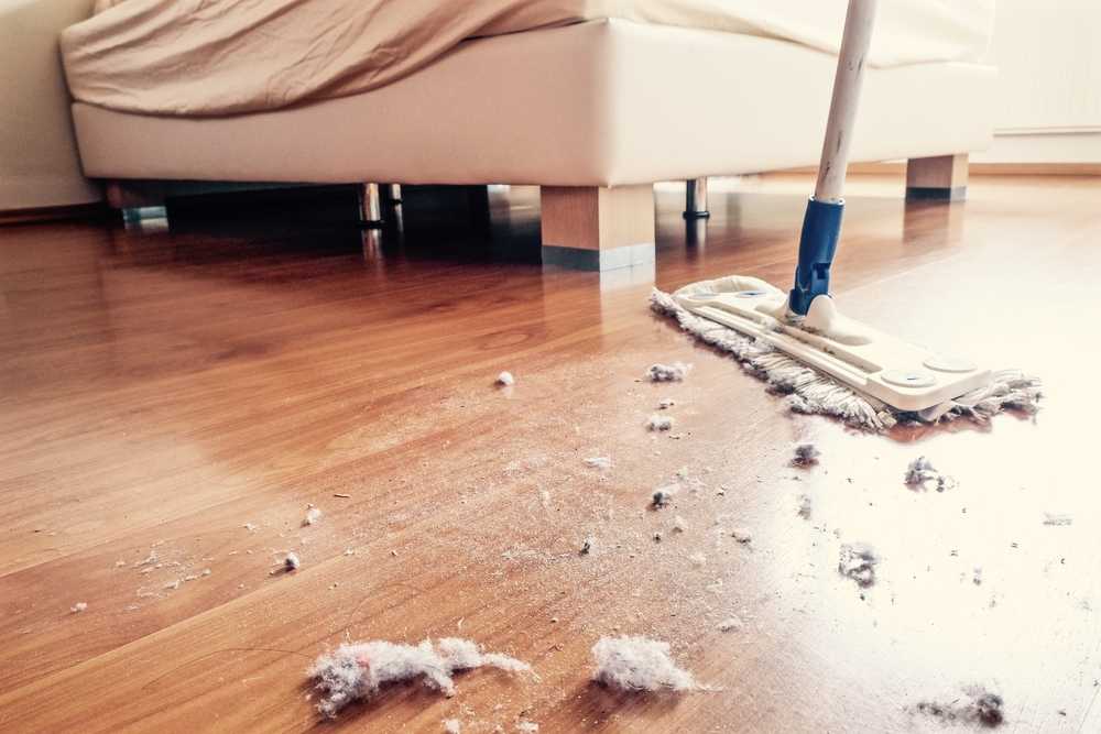 Как можно очистить квартиру от пыли народными средствами? откуда берется? советы