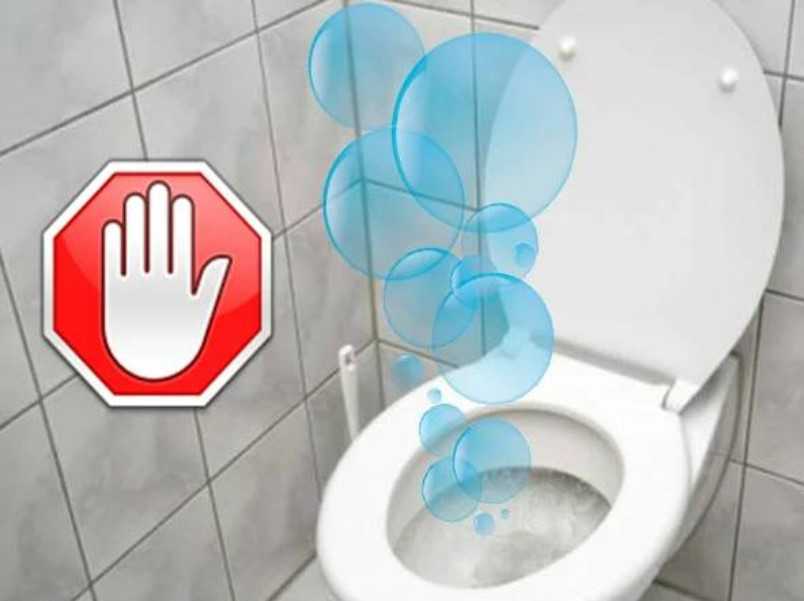 Запах канализации в туалете: 10 причин появления и устранение