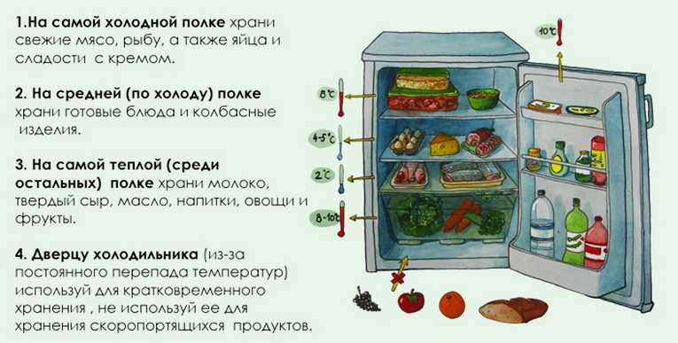 Как хранить в холодильнике зелень? секреты длительного хранения зелени в холодильнике :: syl.ru