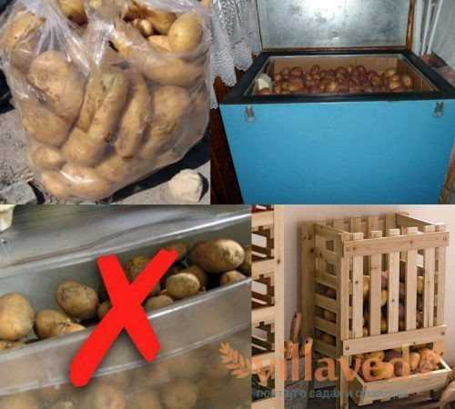 3 хранение картофеля, овощей и плодов - студизба