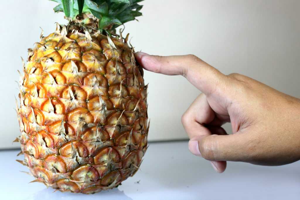 Как хранить ананас в домашних условиях до нового года, чтобы не испортился: лучшие способы хранения