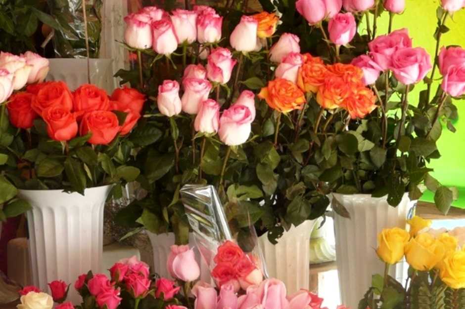 Как хранить розы зимой в подвале - журнал садовода ryazanameli.ru