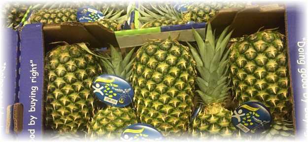 Что сделать чтобы дозрел ананас. способы ускорить дозревание ананаса. как дозреть ананасу в домашних условиях