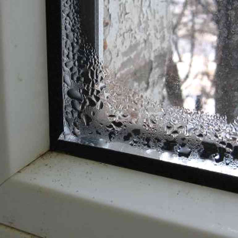 Плесень, грибок на деревянных, пластиковых окнах, откосах — причины, как убрать и предотвратить?