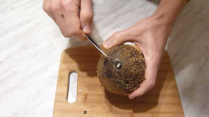 Как правильно открыть кокос дома – 4 способа