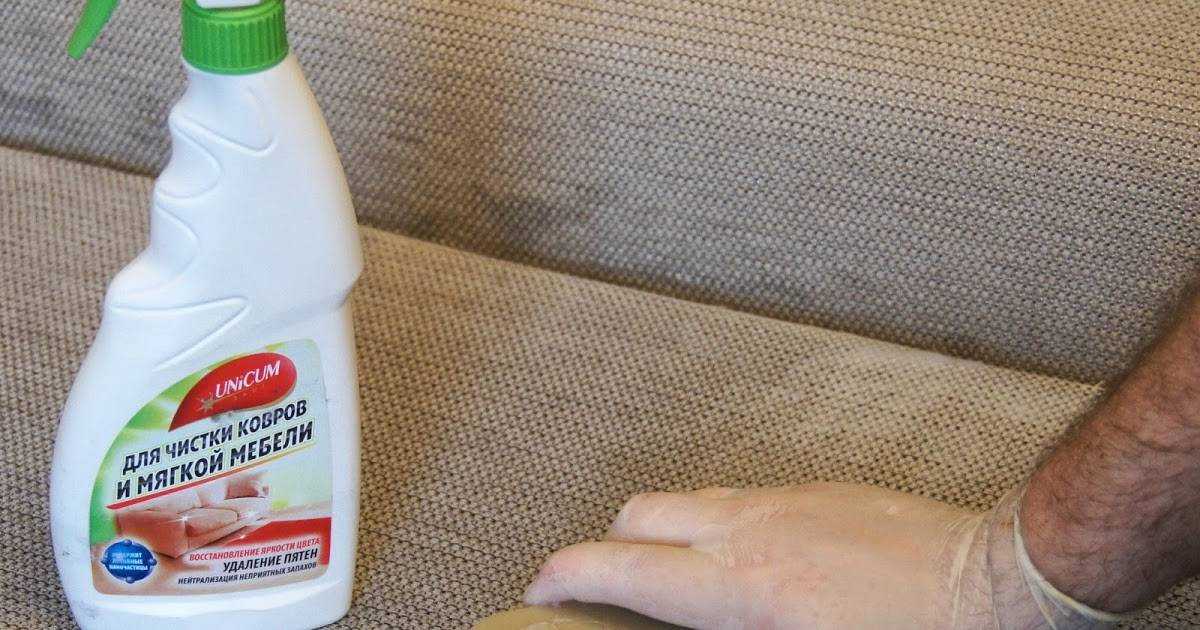 15 надежных способов, как избавиться от запаха кошачьей мочи на ковре