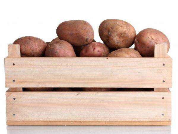Как хранить на балконе картошку и овощи зимой и летом на лоджии