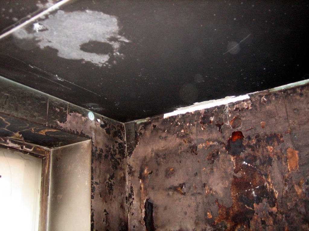Чем отмыть сажу после пожара, чем отмыть копоть, средства для очистки квартиры, чем обработать стены