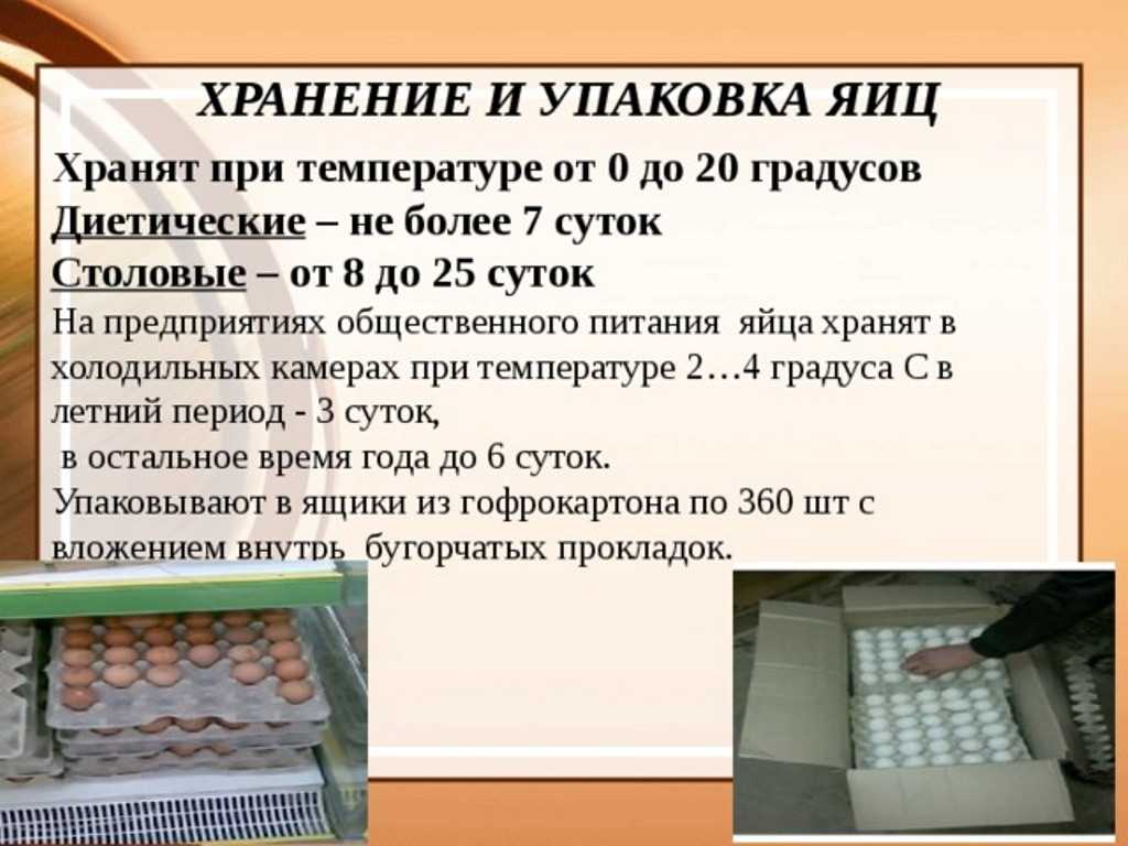 Правила хранения куриных деревенских яиц