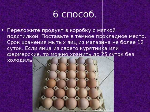 Как правильно хранить куриные яйца: правила, способы, условия и сроки