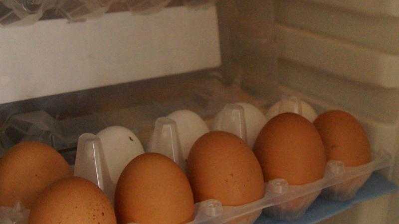 Сколько дней можно хранить сырые и вареные яйца в холодильнике