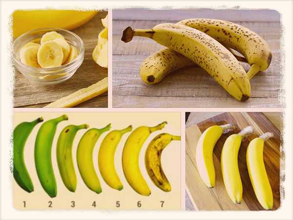 Сроки и условия хранения бананов