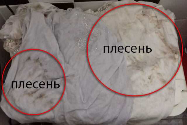 Пятна и плесень на постельном белье: большой гид по всем видам загрязнений | текстильпрофи - полезные материалы о домашнем текстиле