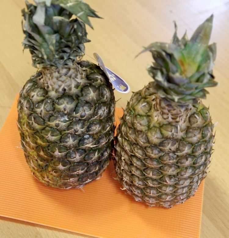 Хранение ананаса - подтвержденные сроки и температурные условия